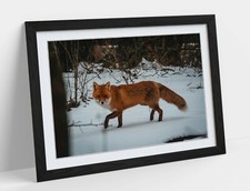 Listing image for RED FOX SNOWY, WILDLIFE PHOTOGRAPHY -ART FRAMED POSTER PICTURE PRINT ARTWORK