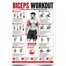 Listing image for Bicep Workout Chart Poster Training Exercise Print Perfect To Build Muscle A5-A1