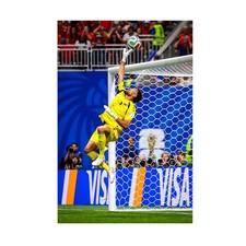 Listing image for Cabo Verde Soccer Fans Vozinha Goal Save - World Cup 26 Tribute - POSTER 20"x30"