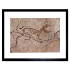 Listing image for Photo Archaeology Fossil Dinosaur Remains Rock New Framed Art Print 12x16 Inch