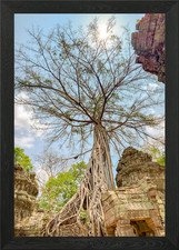 Listing image for Ta Prohm Temple Framed Wall Art Poster Canvas Print Picture