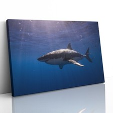 Listing image for Great White Shark Canvas Print Picture Framed Wall Art Poster Paper Cage Diving