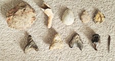Listing image for Archaeological Finds, Origin Unknown, Artifacts