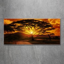 Listing image for Tulup Acrylic Glass Print Wall Art Image 120x60cm - West Africa