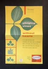 Listing image for VINTAGE Public Health Poster Poison Ivy Poisonous Plants VINTAGE Advertising