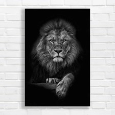 Listing image for Majestic Lion Black and White Original Canvas Print Large Picture Wall Art