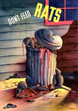 Listing image for Don't Feed Rats Public Health Service poster during WWII 13 x 19" Photo Print