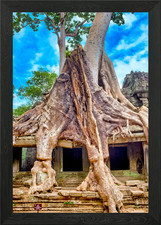 Listing image for Ta Prohm Framed Wall Art Poster Canvas Print Picture