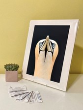 Listing image for Art Print Image Picture Photo Photography: Northern Gannet Bird Nature Wildlife
