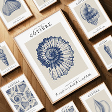 Listing image for Travel Beach Seashell Wall Art Prints - Ocean Vintage Picture -Modern Poster