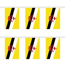 Listing image for Flagtex Brunei Rectangle Bunting